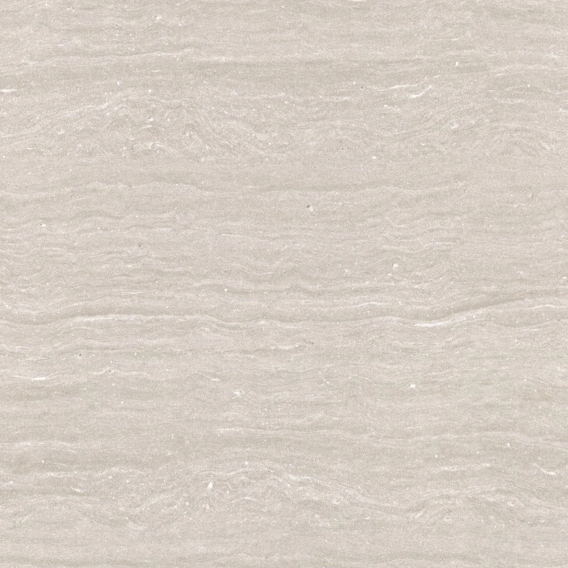 د فلزي پالتو PVC PVC PVC پیټ ټیمونه سینګار